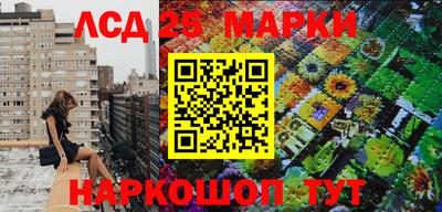 крисы Братск