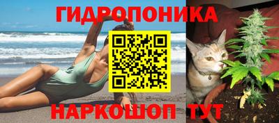 сатива Боровичи