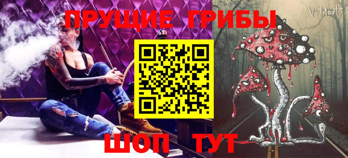 дарнет шоп  Вход с VPN  Асино  Галлюциногенные грибы Psilocybine cubensis 