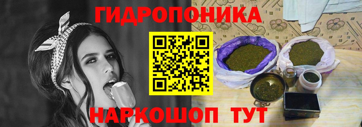 Бошки Шишки конопля Асино