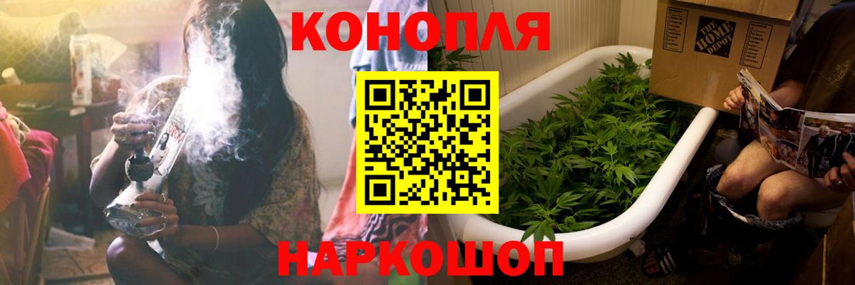 Шишки марихуана Ganja  Бошки марихуана план  Вход с VPN  Канабис White Widow  Асино  Марихуана планчик 